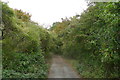 The Essex Way as a byway, east of Torrell's Hall Farm in CM5 0SS