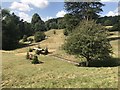 Cross-country course in Gatcombe Park in GL6 9AT