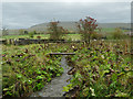 Footbridge over the Rad Brook in Worston