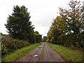 Track to Bickham Barton in EX16 8ER