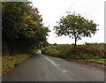 Minor road on Bickham Moor in EX16 8ER