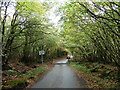 Cattle grid on Willcox Moor in EX36 4SB