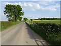 Country road approaching Ebury Hill in SY4 4DD