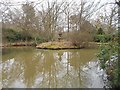 Windlesham Arboretum: Pond by Oldhouse Lane (1) in GU18 5RL