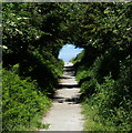 Norfolk Coast Path at Hopton-on-Sea in NR31 9BJ