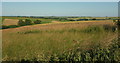 Farmland above Stratford Tony in SP5 4AW