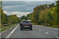 South Somerset : The A358 in TA19 9PY