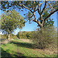 Nearing Bourn Brook footbridge in October in South Cambridgeshire District