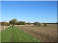 Cycling to Grantchester and jogging to Haslingfield in South Cambridgeshire District