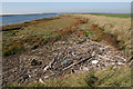 Saltmarsh & sundry detritus, Wallasea Island in SS3 9XE
