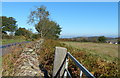 Dry stone wall and gate along Charley Road in LE12 8TB