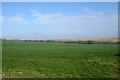 Field east of Lawn Hill Farm in HP18 0TX