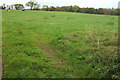 Cattle pasture near Park Gate in TA2 8LB