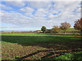 Wind turbine and spoil heap of former Bilsthorpe Colliery in NG22 8ST