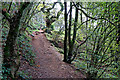 Track to Nanny's Rock near Kinver, Staffordshire in DY11 5SB