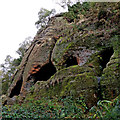 Sandstone Caves on Kinver Edge in Staffordshire in DY11 5SB