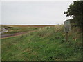 National Trust Stiffkey Saltmarshes in Stiffkey