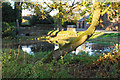 Duck pond by Morley's Hall in WN7 2NL