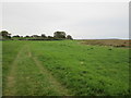 Norfolk Coast Path toward Wells Next The Sea in Warham