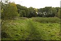 A clearing in the woods near Gibb Farm in BL6 5WU