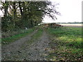Trackway leading to a derelict cottage in NR11 6RA