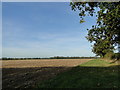 Ploughed and cultivated with a 20 feet wide headland in NR11 6RA