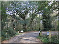 Car park and picnic area in Horsford Woods in NR10 3FD