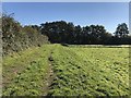 Footpath to Hesworth Farm in GU28 0JL