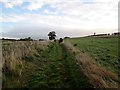 Footpath over field toward Todd Wood in YO60 7EA