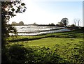 Crop protection, near Kingsheanton in EX31 4ED