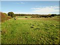 Field edge footpath back toward Huskit Hill in YO60 6PN