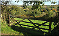 Gate above Milton Combe in PL20 6HA