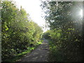 Disused railway east of Ladybower Wood in S44 5BX