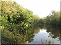 Fishing lake near Tapton in S41 0TN