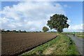 Farmland beside Black Fen Lane in YO8 3ED