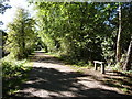 Footpath and cycleway on a dismantled railway in S43 1HF