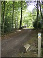 Bridleway through Nott Wood in RG9 5DH