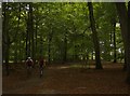 Cyclists in Nott Wood in RG9 5DH