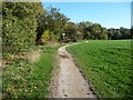 Path at the edge of the playing field, alongside Holme Brook in S40 4LF