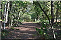 Woodland track into nature reserve by Bough Beech Reservoir in TN8 7PW