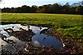 Clouds reflected in puddle in RH19 4FE