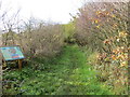 Footpath at Meathop Moss Nature Reserve in LA11 6RH