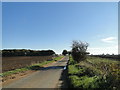 Rural road near Blackhill Plantation in NR16 2RB