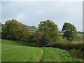 Farmland and trees west of Pilsdon Pen in DT6 5NX