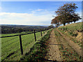 Bridleway from Meadows Farm to Mellor in SK6 5PP