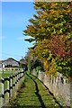 Autumn colours on path at Nether Wallop in SO20 8WE