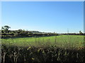 Over hedge and fields to Sewage Works in YO17 8EB