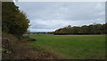 Farmland near to Butler's Wood in CV7 8PJ