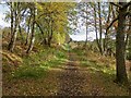Trackbed on former Black Isle Railway Line in IV6 7RL