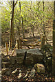 Stile and gate near Cheddar Wood in BS26 2AW